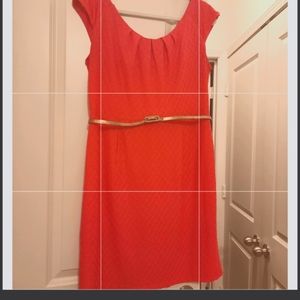 DK Coral knee length dress